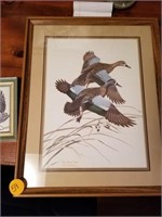 BLUE WING TEAL AND EAGLE PICTURE