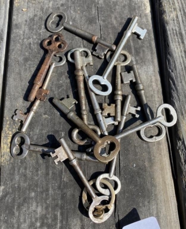 Lot of Skeleton Keys
