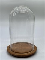 Glass Dome Display on Wooden Stand