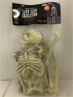 55" Life Size Skeleton