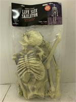 55" Life Size Skeleton