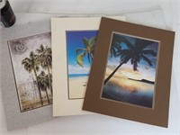 Three Island Prints
