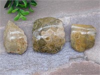 PETOSKEY FOSSILIZED CORAL ROCK STONE LAPIDARY SPEC