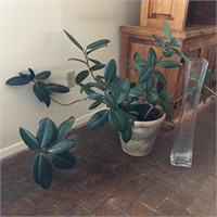 Plant & 24" Glass Vase