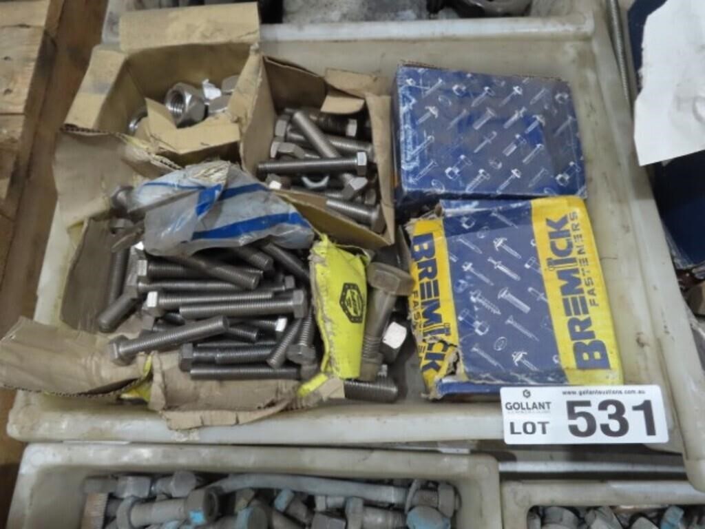 3 Boxes of S/S & Other Bolts, Nuts, hardware