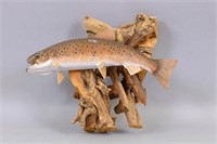 Hand Carved Brown Trout on Wood by W.R.Rousseau,