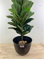 Artificial Plant