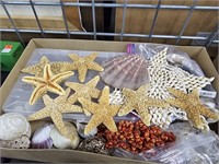 Assorted Seashells and Ocean Decor