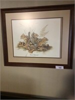 Eastern chipmunks framed print by Oliver 20 in x