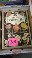 The New Country Life 1917 / Country Life 1920