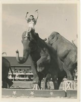 8x10 Circus Hall of Fame woman on posed elephant