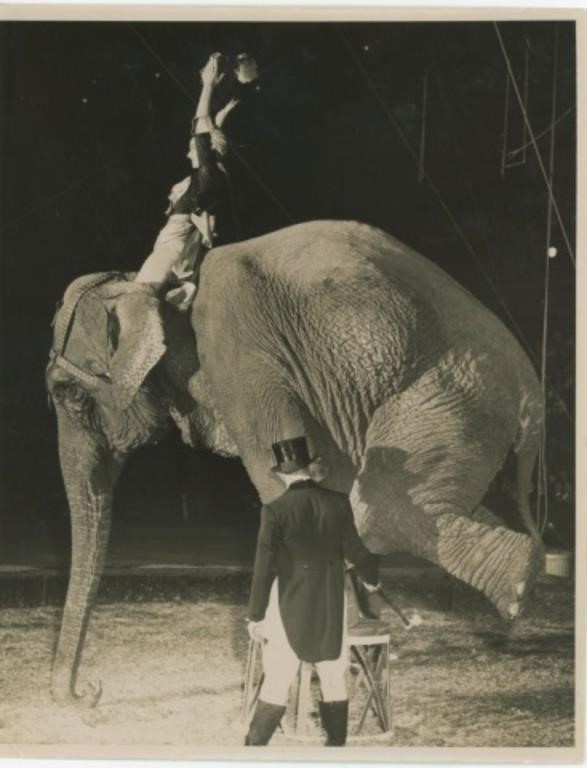 Vintage Circus Photos, Ephemera and Puppets Auction