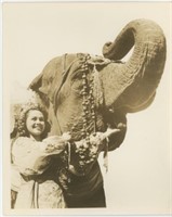 8x10 woman feeding elephant Chester photo service