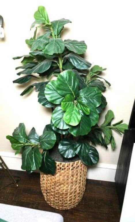 Faux Fern in Wicker Basket