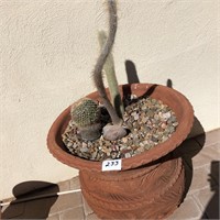 Large Terra Cotta Planter / Cactus
