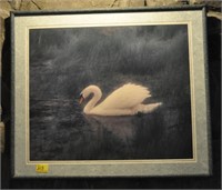 SWAN PRINT