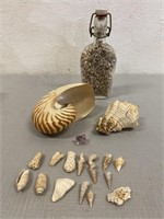 8" Bottle Of Sea Shells & Other Sea Shells/ Stones