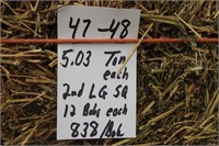 Hay-Lg.squares-2nd-12Bales