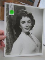 1947 Elizabeth Taylor 8 x 10 Photograph