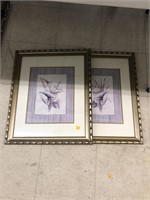 2cnt Framed Botanical Pictures Approx 19x23
