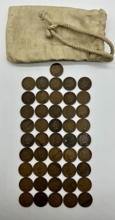 Indian Head Pennies (46)