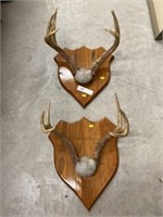 2 Sets of Antlers Mounted on Plaques
