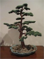 Bonsai tree, chip out of dish
