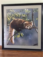 Large Raccoon Framed Art Print