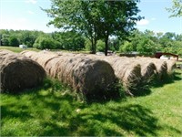 39 ROUND HAY BALES OF OLD LOW QUALITY HAY
