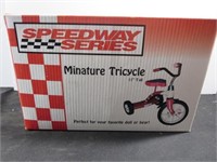 New in the Box Speedway Series Miniature 11"