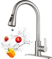 $50 Stainless Steel 360° Swivel Kitchen Faucet