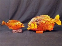 Set of 2 Piranha Taxidermies