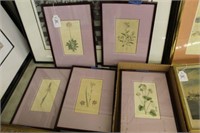 5 Antique Hand colored Engravings
