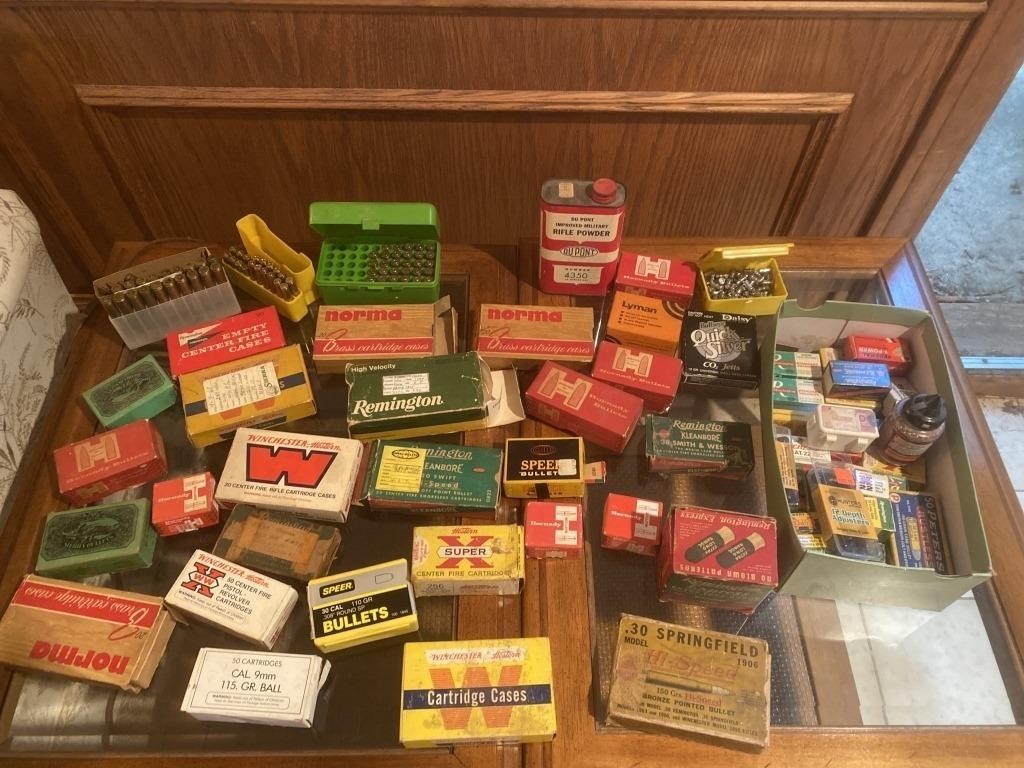 Lot Of Ammo & More