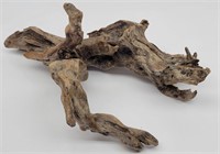 Gnarly Piece of Driftwood Snag