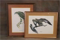 Tom Dunnington Eagle & Hawk Prints