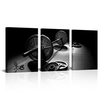 SkenoArt 3 Piece Weightlifting Wall Art Gym