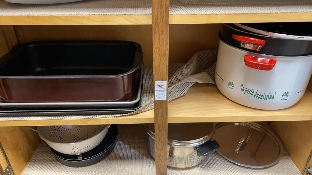 Shelf lot, baking trays, T-Fal roaster and pasta