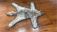 Coyote Rug