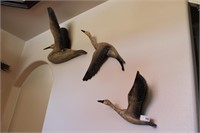 Goose décor