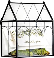 Modern Glass Terrarium