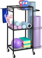 Multi-Use Dumbbell Storage Rack