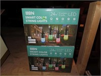 N.I.B. LED Colored Hanging Lights