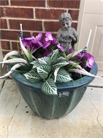 Plants in Pot