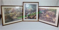 3 assorted framed nature prints