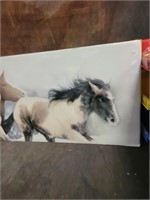 36" x 11.75" Horses Poster Picture