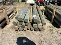 21 - treated 8' fence posts