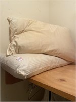 100 year old feather pillows