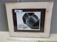 Framed and matted photo; approx. 18"x15"