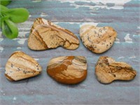 PICTURE JASPER ROCK STONE LAPIDARY SPECIMEN